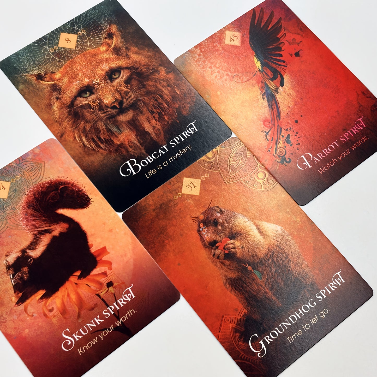 Animal Spirit - färgrikt orakellek